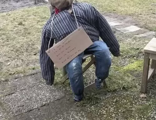 Winterban 2026 – Klaar voor de lente!